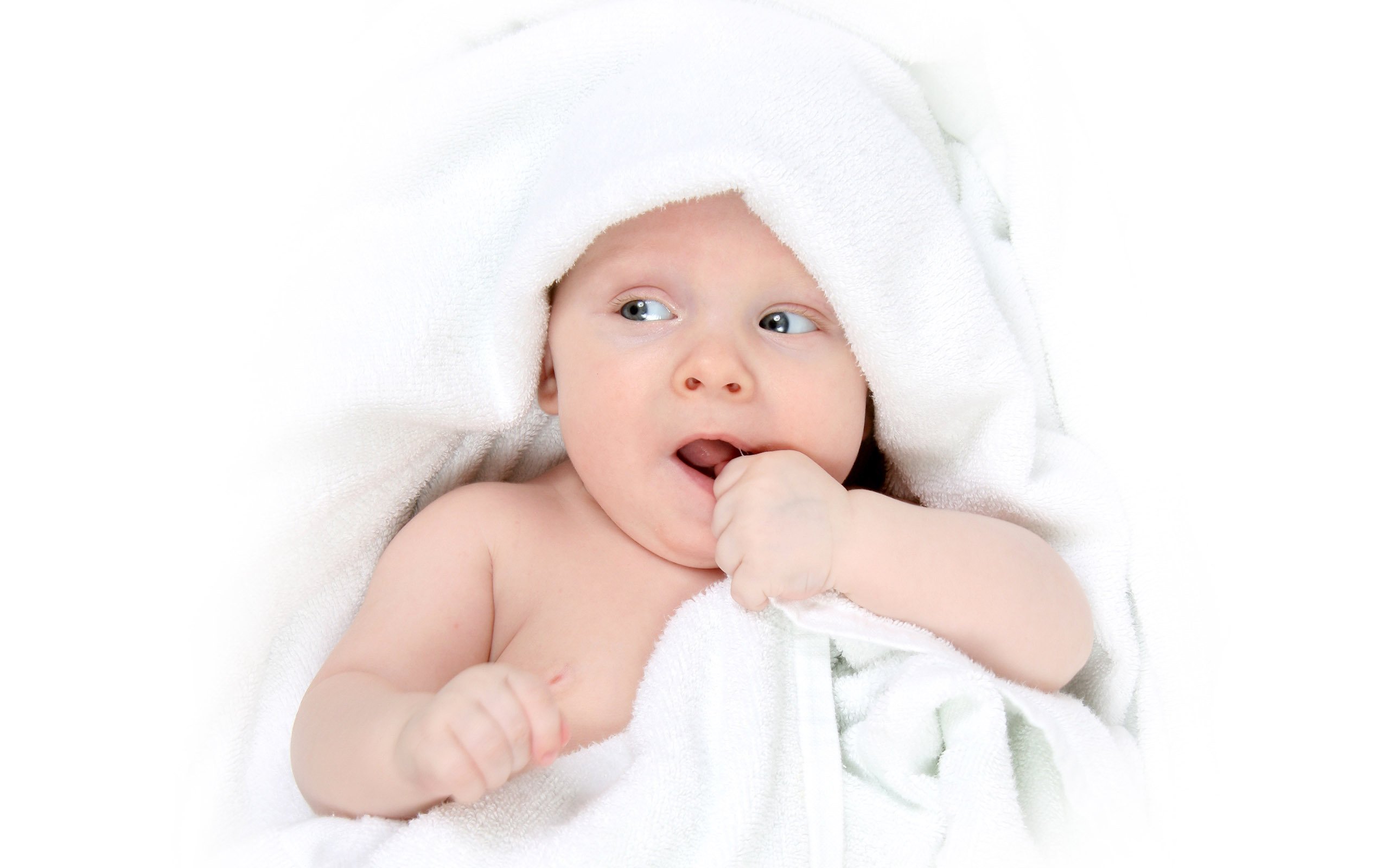 供卵代生第三代试管婴儿成功率高吗